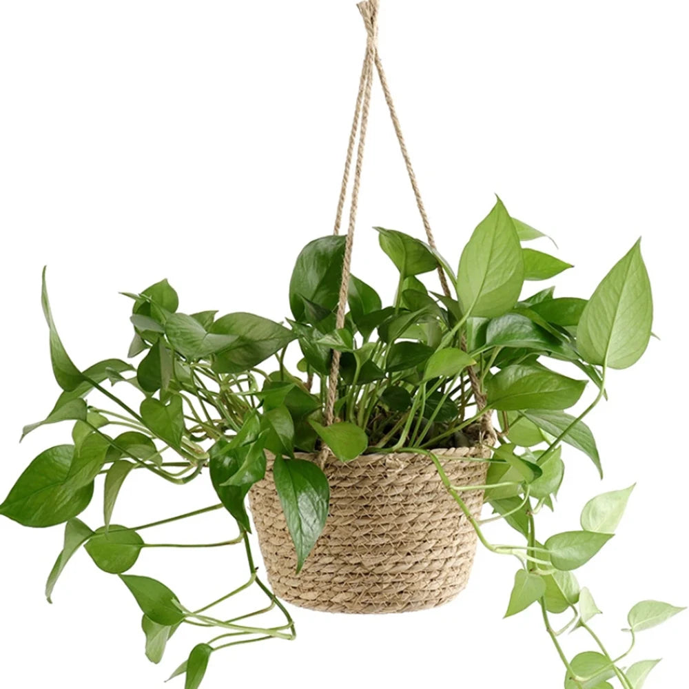 Geweven Hangmand voor Planten